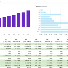 Wykres słupkowy i słupkowy przedstawiające przepływy pieniężne i wpływy od klientów. Przykład cash flow.