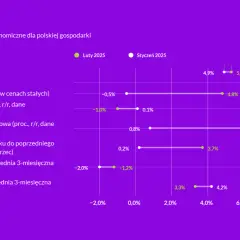 Wykres pokazuje wzrosty i spadki kluczowych wskaźników gospodarczych Polski w lutym i styczniu 2025. Widoczna jest zwyżka kursu akcji na giełdzie, odzwierciedlona w danych o eksporcie i produkcji.