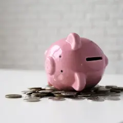 Różowa świnka skarbonka na stosie monet. Klasyczny sposób na to, gdzie trzymać pieniądze poza bankiem, gdy chcesz mieć je pod ręką.