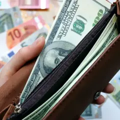 Dłoń trzyma brązowy portfel z banknotami dolarowymi. W tle widać euro. Czy warto inwestować w dolary?