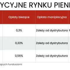 Tabela porównująca fundusze inwestycyjne rynku pieniężnego w euro. Sprawdź opłaty i dystrybutorów dla inwestycji w euro.