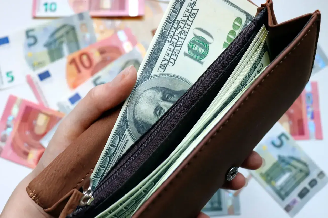 Dłoń trzyma brązowy portfel z banknotami dolarowymi. W tle widać euro. Czy warto inwestować w dolary?